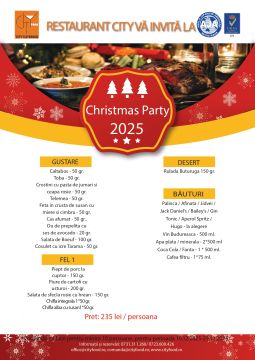 Petrecere de Craciun